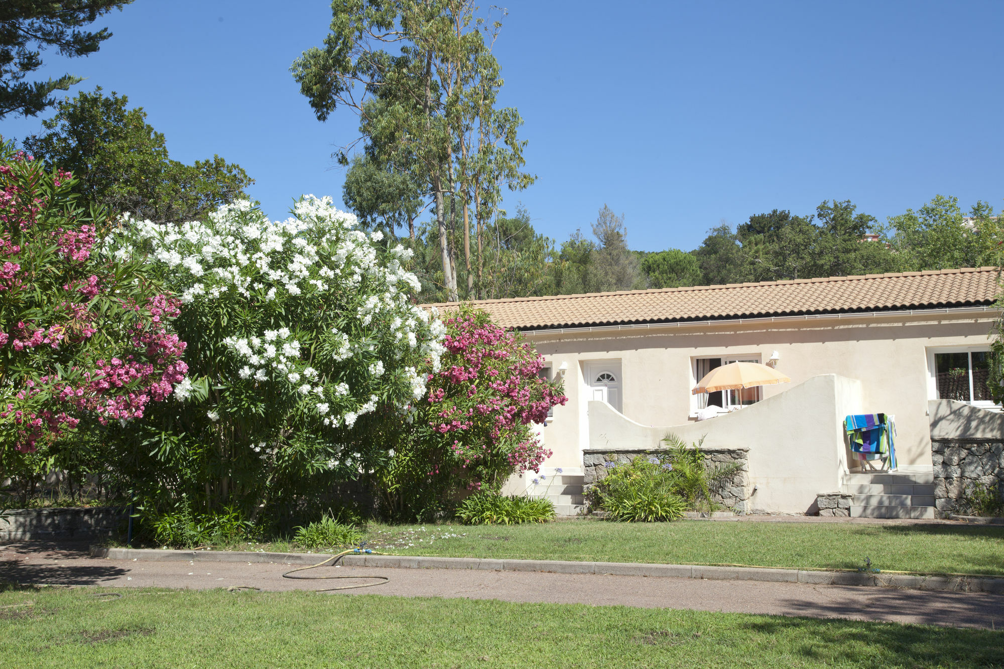 Vacanceole - Residence Lisa Maria Sari-Solenzara Exterior photo