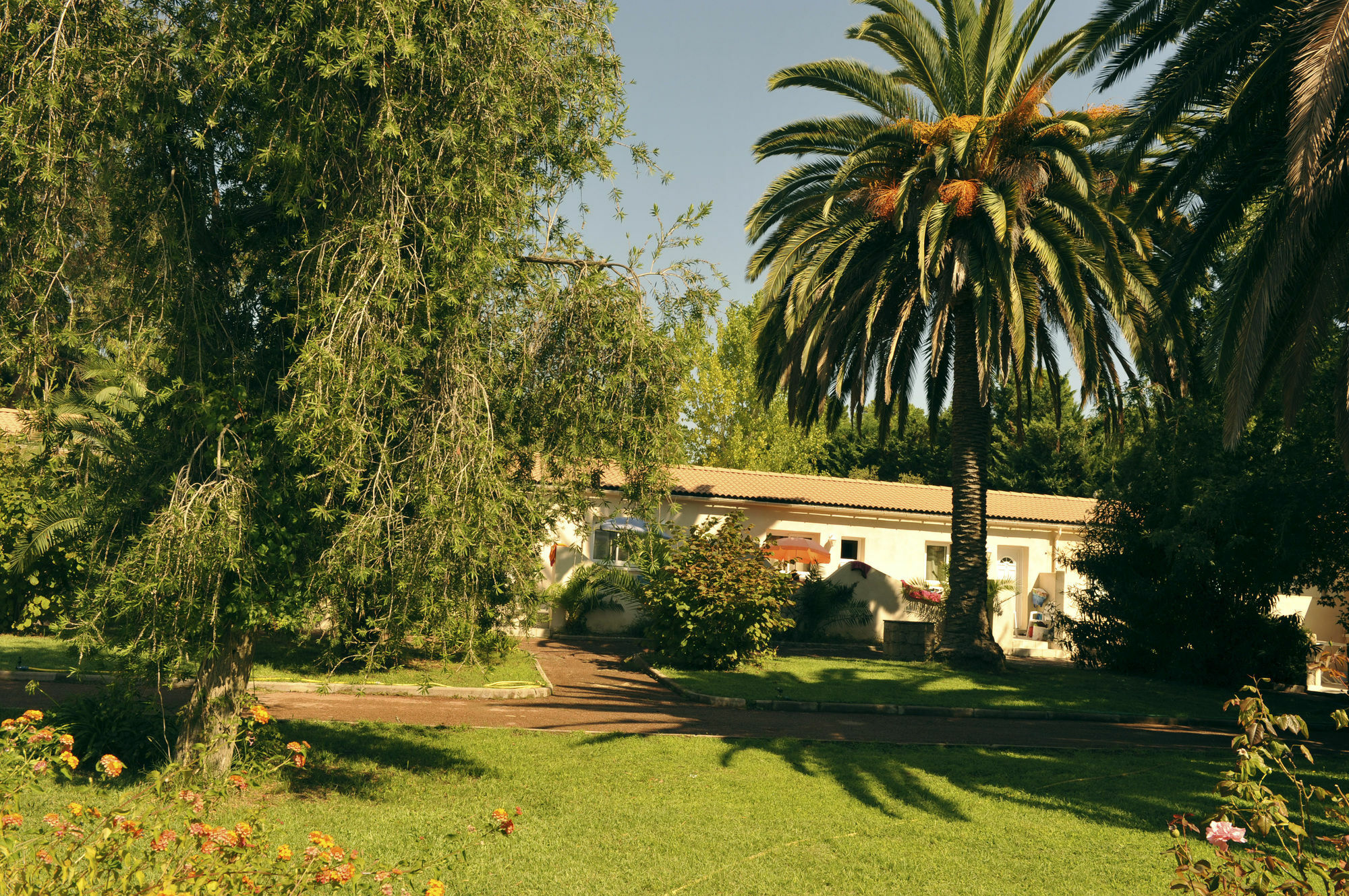 Vacanceole - Residence Lisa Maria Sari-Solenzara Exterior photo